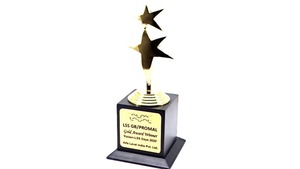 Approvisionnement direct en usine Trophée étoile d'or d'entreprise pour les fonctions annuelles ou les cérémonies d'appréciation disponibles au meilleur prix - Product Image 4