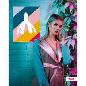 Affiche Klitoris au design moderne par ORION pour utilisation murale - Product Image 1
