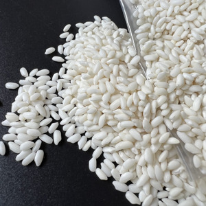 Riz Glacé Rond du Vietnam - Meilleur Prix Compétitif - Export en Gros - MAX RICE - Product Image 1