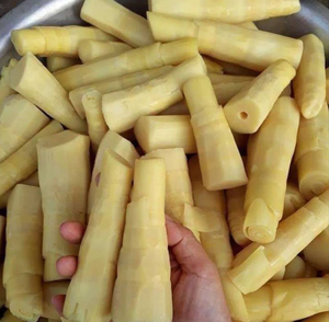 Pousses de bambou de qualité supérieure du Vietnam, naturelles, prêtes à cuire, goût traditionnel - Product Image 4