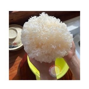 Tremella Fuciformis Seca de Alta Calidad, Cultivada, Blanca, Entera, de Cocción Instantánea, Cruda, Deshidratada, Comercializada Globalmente - Product Image 2