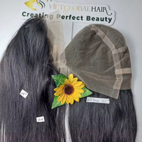 Perruque vietnamienne pleine dentelle de haute qualité de Vietglobalhair Extension de cheveux d'échantillon à bas prix
