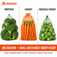 Machine automatique certifiée CE pour l'emballage en filet de légumes biologiques (brocoli, carotte, pousses), haute vitesse 30 sacs/min, qualité alimentaire