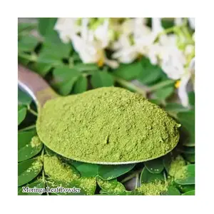 Kaliteli moringa Moringa yaprağı tozu toptan fiyata hindistan'dan özü murungai hindistan