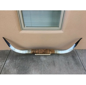 Décoration murale rustique en corne de bœuf naturelle, faite à la main, écologique, taille personnalisée - Product Image 1