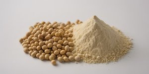 Vente en gros de soja jaune sans OGM de qualité naturelle pour l'agriculture et la transformation des aliments - Product Image 2