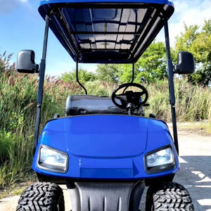 H & S 6 PLAZAS WILDCAT 48V CARRITO DE GOLF ELÉCTRICO LSV CARRITO DE GOLF NUEVO - Product Image 1