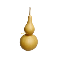 Artisanat de gourdes séchées de qualité supérieure, gourdes creuses naturelles, objets décoratifs