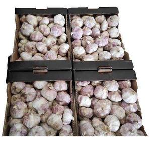 Ajo Pelado Orgánico Fresco de Alta Calidad, 5 cm, Origen Shandong, Grado Superior, Venta Directa de Fábrica con Precios Favorables - Product Image 1