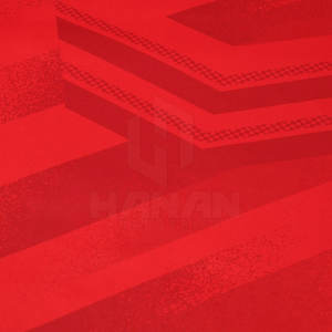 Vente en gros Ensemble de vêtements de football personnalisés Maillots et shorts de football pour hommes et jeunes Uniformes pour équipes - Product Image 4