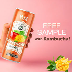 250ml Can VINUT Kombucha Black <b>Tea</b> with Mango Sparkling Drink Wholesale Suppliers and Manufacturers OEM ODM Private Label - Product Image 6