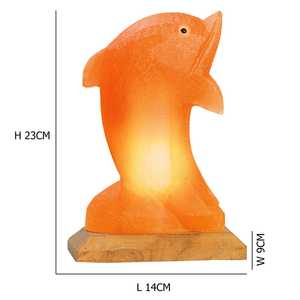 Customized Modern Dolphin-Shaped High Quality Himalayan Salt Lamp Eco-Friendly Unique Home Decor Natural Crafts Buy - Product Image 1