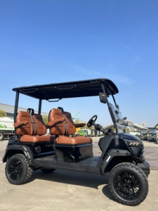 Voiturette de golf électrique 5-6 places, carrosserie noire, sièges en cuir marron, pneus tout-terrain, châssis en acier, 72V 5KW, certifiée DOT - Product Image 1