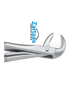 Fórceps de extracción de acero inoxidable de alta calidad molares inferiores Fig 99 exportadores y fabricante - Product Image 6