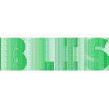 BLIS Kugelgewindetriebe GmbH logo