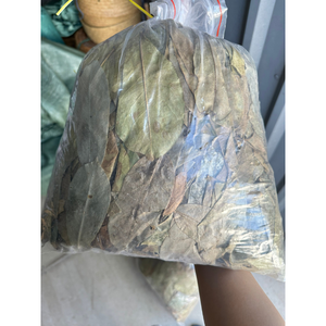 ผงทุเรียนเทศใบแห้งจากเวียดนาม - Product Image 3