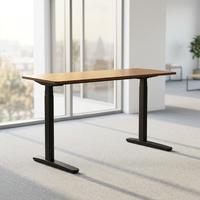 Bureau électrique ergonomique personnalisé à double moteur, 3 niveaux, avec pieds ovales, hauteur réglable, stable, pour position assise ou debout