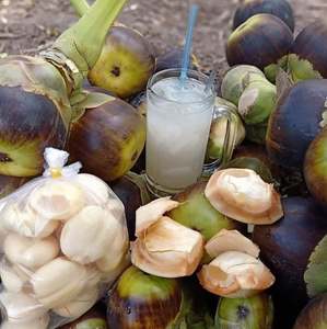 Boisson au Nectar de Palme Naturel avec Délicieux Garniture de Fruits de Palme Boisson Rafraîchissante et Saine en Bouteille - Product Image 1