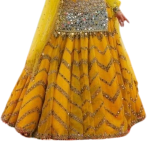 Service OEM Robes de style boutique de créateurs pakistanais sur mesure pour femmes Mehndi Lehenga Choli Vêtements de mariage Robe de mariée Adultes - Product Image 4
