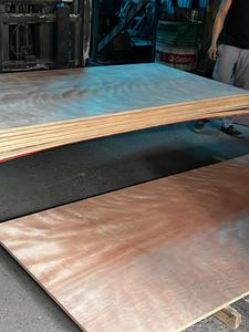 Cubierta de película de todos los tamaños Madera contrachapada Producto versátil_género para proyectos versátiles - Product Image 2