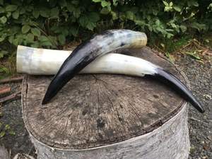 Jarra de cerveza de búfalo vikingo natural hecha a mano con cuerno para beber tallado personalizado - Product Image 5