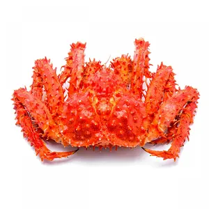 Alta qualidade Big Size king caranguejo OURO CRAB Toda rodada cozido congelado Snow crab Opilio Suit para Vários Receipe Low Price