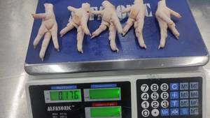 ตีนไก่แช่แข็งพรีเมียมฮาลาลขายดีอันดับต้นๆ - Product Image 5