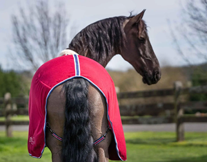 럭셔리 셰르파 칼라 폴라 양털 말 깔개 300GSM 안정 및 쿨러 담요 - Product Image 3