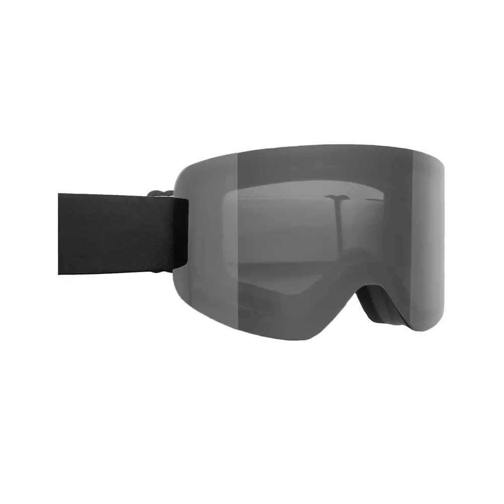 Wholesale Ski Goggle
