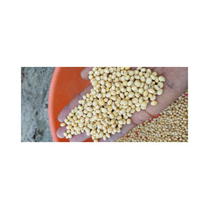 Vente en gros de soja biologique riche en protéines soja jaune de qualité supérieure sans OGM séché en usine-emballé - Product Image 4