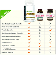 Kapsul Softgel Herbal Ekstrak Shilajit Private Labels Extra Strength Stamina Power 500 mg