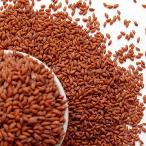 Cress | Goût rafraîchissant | Utilisé dans les aliments fonctionnels - Product Image 1