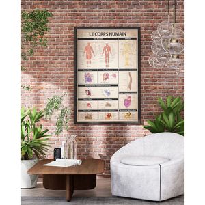 Modelo Anatómico de PVC del Cuerpo Humano para la Enseñanza de Ciencias Médicas - Product Image 3