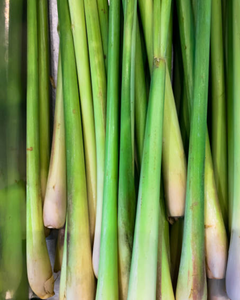 TALLOS DE LIMÓN NATURAL DE ALTA CALIDAD PARA ALIMENTACIÓN Y PROCESAMIENTO - Product Image 5