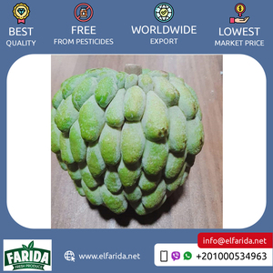 Bán buôn số lượng nhà cung cấp của chất lượng tốt ngon và hương vị ngọt ngào trái cây tự nhiên tươi mãng cầu táo từ Ai Cập - Product Image 6