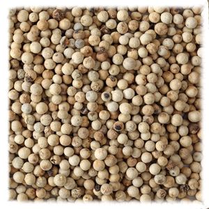 Graines de pavot bleu et fleur de pavot non lavés de haute qualité - Product Image 3