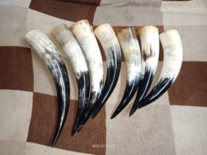 ROYAL NATURAL CRAFT Cuerno de Becerro Grande Hecho a Mano con Diseño Animal Elegante, Cuerno Vikingo Natural para Beber con Soporte, Utilizable para Reenactment - Product Image 4