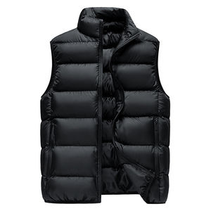 Veste matelassée matelassée en coton léger pour la vie quotidienne, doudoune d'hiver pour hommes, veste sans manches, 2026 - Product Image 1