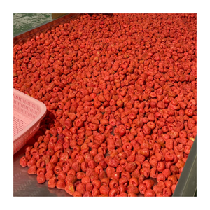 Fresas liofilizadas de grado premium de Vietnam, bayas rojas enteras de calidad de exportación, sabor dulce natural crujiente en todo el mundo - Product Image 1
