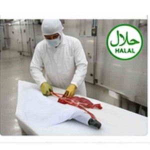 Competitive Price Frozen <b>Beef</b> Meat Bulk Supply Vacuum Packed Halal Certified - Product Image 6