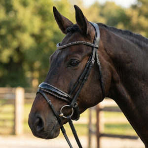 Adjustable English <b>Bridle</b> for Horses High Quality Black Leather with Padded Noseband and Crystal Browband Customizable Colors - Product Image 2