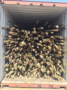 Polos de bambú de alta calidad para construcción, palos de bambú naturales para jardinería, precio más barato, de Vietnam - Product Image 5