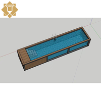 Piscine de conteneur maritime 30 pieds 40 pieds, conception intégrée extérieure, option chauffée, pont et spa, profondeur de 6 pieds, circulation de l'eau