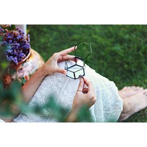 Design exclusif Hexagone Métal et Verre Mini Bijoux Présentoir Organisateur Boîte Anneau Boucle D'oreille Or Rose Boîtes De Rangement - Product Image 3