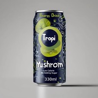 Boisson énergétique de marque privée-Préparez ma propre marque de boisson énergisante aux champignons en boîte de 330ml Sleek/12oz