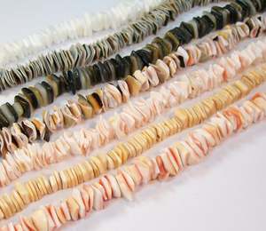 Cuentas de concha, Tigre, cauri, plano, redondo, 20mm - Product Image 5