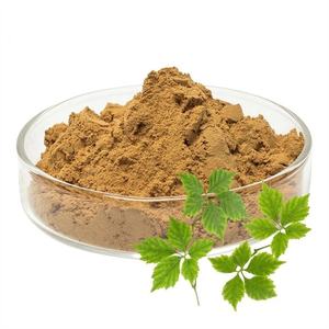 Экстракт Pentaphyllum <span class=keywords><strong>Gynostemma</strong></span>, экстракт джиаогулана, экстракт гиностеммы, гипенозиды 50%-98% - Product Image 2