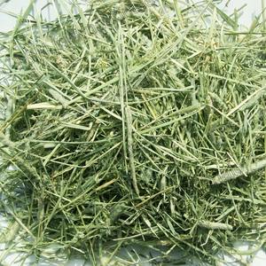 Mejor Precio Exportación Calidad Alfalfa Heno Para Ganado Y Mascotas Alfalfa Fresca Y Natural Heno Disponible En Cantidades A Granel - Product Image 1