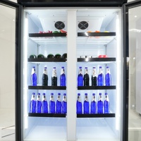 Réfrigérateur-congélateur vertical commercial portable avec compresseur pour la présentation de boissons en supermarché et hôtel