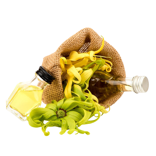 สีเหลือง